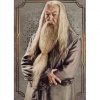 Panini Harry Potter Evolution Trading Cards Nr 053 Albus Dumbledore