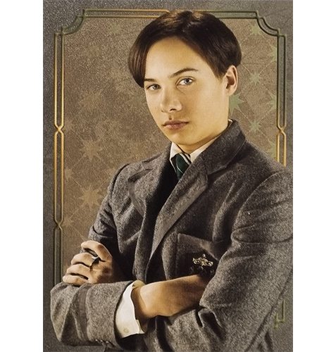 Panini Harry Potter Evolution Trading Cards Nr 056 Lord Voldemort