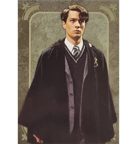 Panini Harry Potter Evolution Trading Cards Nr 057 Lord Voldemort