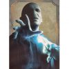 Panini Harry Potter Evolution Trading Cards Nr 058 Lord Voldemort