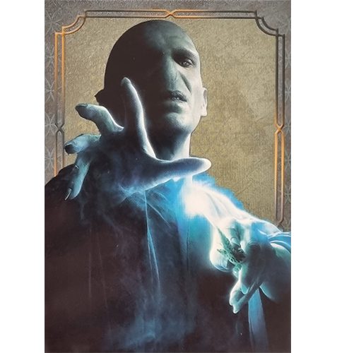 Panini Harry Potter Evolution Trading Cards Nr 058 Lord Voldemort