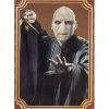 Panini Harry Potter Evolution Trading Cards Nr 059 Lord Voldemort