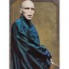 Panini Harry Potter Evolution Trading Cards Nr 060 Lord Voldemort