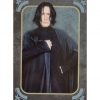 Panini Harry Potter Evolution Trading Cards Nr 066 Severus Snape