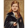 Panini Harry Potter Evolution Trading Cards Nr 082 Ginny Weasley