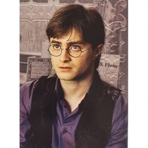 Panini Harry Potter Evolution Trading Cards Nr 009 Friends for life