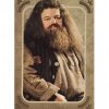 Panini Harry Potter Evolution Trading Cards Nr 098 Rubeus Hagrid