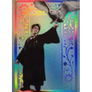 Panini Harry Potter Evolution Trading Cards Nr 016 Harry Potter Parallel Silber
