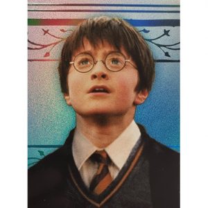 Panini Harry Potter Evolution Trading Cards Nr 002 Friends for life Parallel Silber