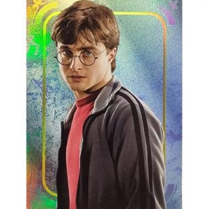 Panini Harry Potter Evolution Trading Cards Nr 024 Harry Potter Parallel Silber