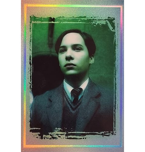 Panini Harry Potter Evolution Trading Cards Nr 262 Horcrux Parallel Silber