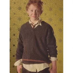 Panini Harry Potter Evolution Trading Cards Nr 031 Ron Weasley Parallel Gold