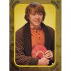 Panini Harry Potter Evolution Trading Cards Nr 034 Ron Weasley Parallel Gold