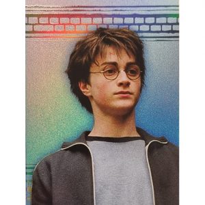 Panini Harry Potter Evolution Trading Cards Nr 005 Friends for life Parallel Silber