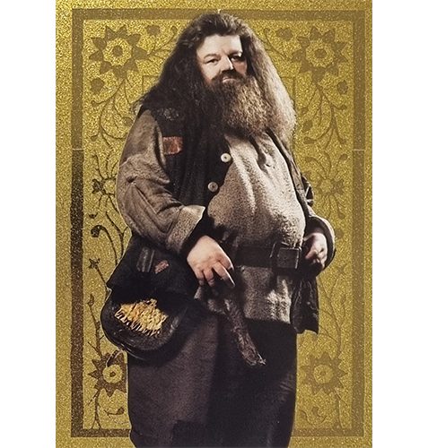 Panini Harry Potter Evolution Trading Cards Nr 099 Rubeus Hagrid Parallel Gold