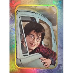 Panini Harry Potter Evolution Trading Cards Nr 012 Harry Potter Parallel Silber