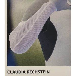 Panini Winterspiele 2022 Peking Sticker - Nr 181 Claudia Pechstein
