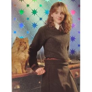 Panini Harry Potter Evolution Trading Cards Nr 040 Hermione Granger Parallel Silber