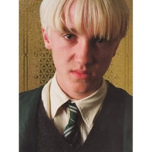 Panini Harry Potter Evolution Trading Cards Nr 076 Draco malfoy Parallel Gold
