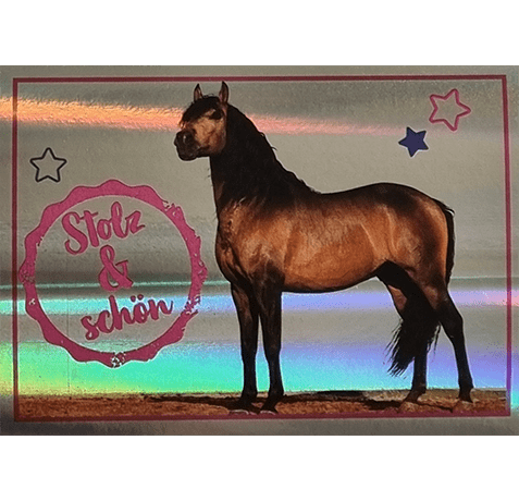 Horse Club Lieblingspferde Sticker - Nr 010