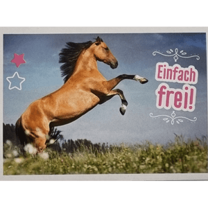 Horse Club Lieblingspferde Sticker - Nr 100