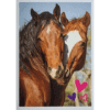 Horse Club Lieblingspferde Sticker - Nr 102