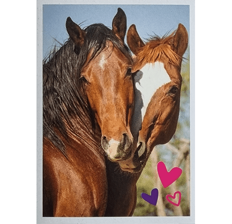 Horse Club Lieblingspferde Sticker - Nr 102