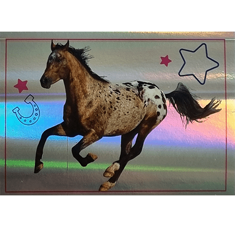 Horse Club Lieblingspferde Sticker - Nr 104