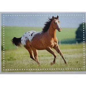Horse Club Lieblingspferde Sticker - Nr 107