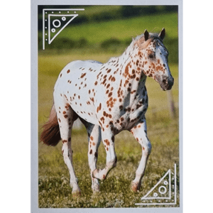 Horse Club Lieblingspferde Sticker - Nr 108
