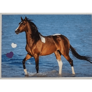 Horse Club Lieblingspferde Sticker - Nr 110
