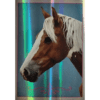 Horse Club Lieblingspferde Sticker - Nr 113
