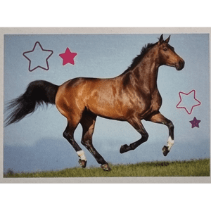 Horse Club Lieblingspferde Sticker - Nr 115