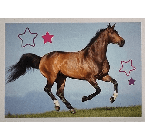 Horse Club Lieblingspferde Sticker - Nr 115