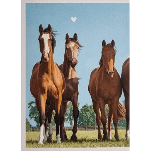 Horse Club Lieblingspferde Sticker - Nr 117