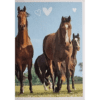 Horse Club Lieblingspferde Sticker - Nr 118