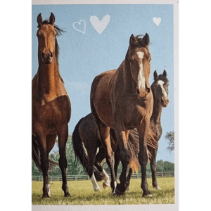 Horse Club Lieblingspferde Sticker - Nr 118