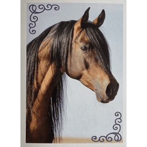 Horse Club Lieblingspferde Sticker - Nr 012
