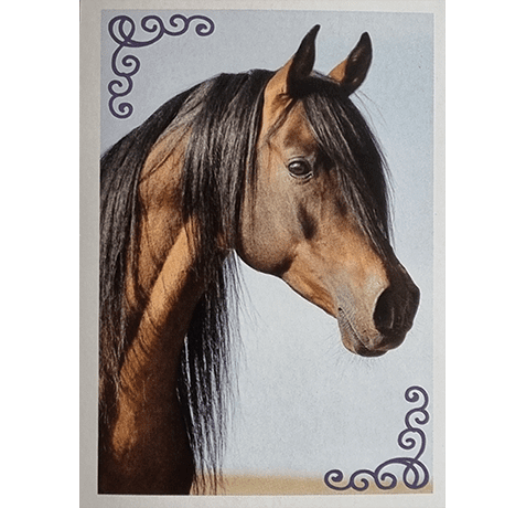 Horse Club Lieblingspferde Sticker - Nr 012