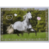 Horse Club Lieblingspferde Sticker - Nr 120