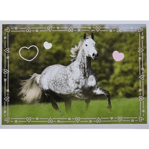 Horse Club Lieblingspferde Sticker - Nr 120