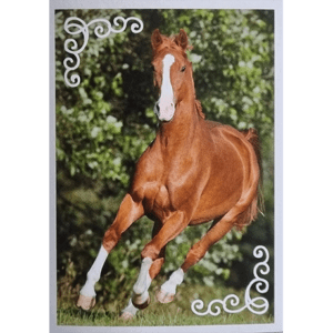 Horse Club Lieblingspferde Sticker - Nr 121