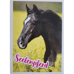 Horse Club Lieblingspferde Sticker - Nr 122