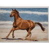 Horse Club Lieblingspferde Sticker - Nr 124