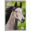 Horse Club Lieblingspferde Sticker - Nr 126