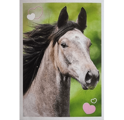 Horse Club Lieblingspferde Sticker - Nr 126