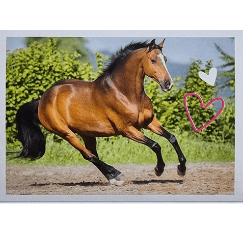 Horse Club Lieblingspferde Sticker - Nr 127