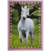 Horse Club Lieblingspferde Sticker - Nr 129