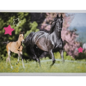Horse Club Lieblingspferde Sticker - Nr 132