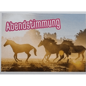 Horse Club Lieblingspferde Sticker - Nr 133